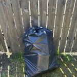 Rapid Mold Removal, LLC