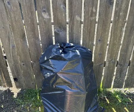 Rapid Mold Removal, LLC