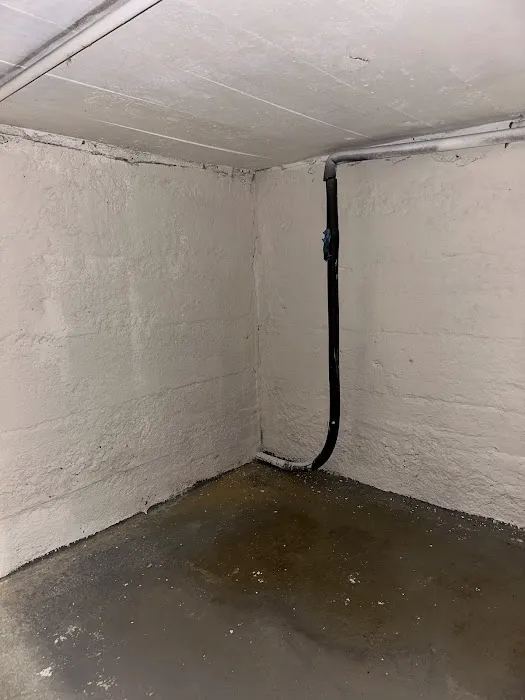 Rapid Mold Removal, LLC Picture 4