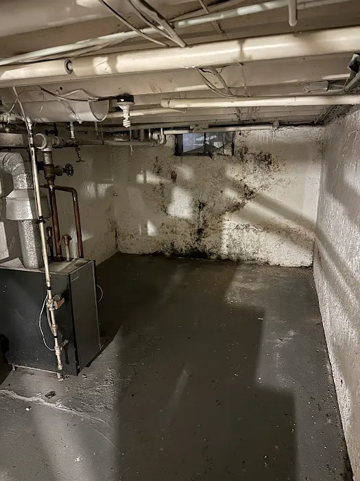 Rapid Mold Removal, LLC Picture 7