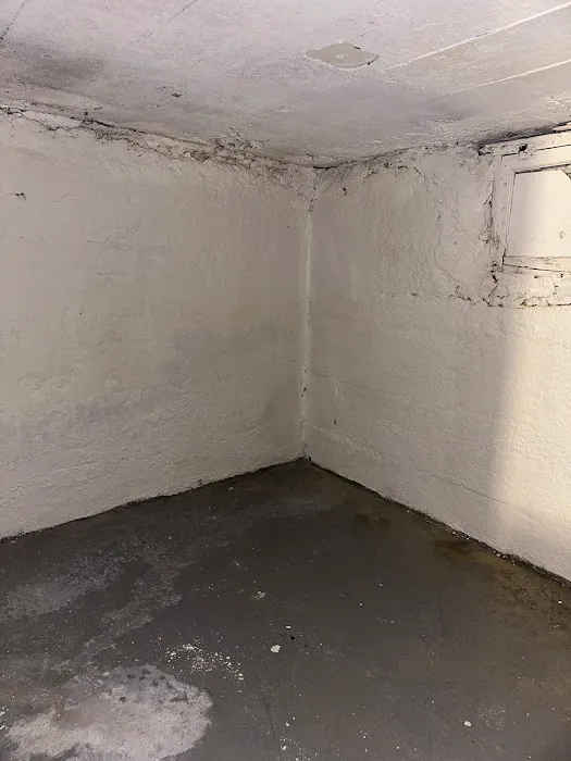Rapid Mold Removal, LLC Picture 5