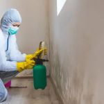 Mid-Michigan Mold Solutions