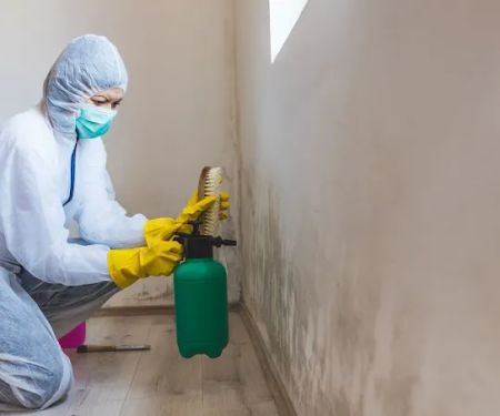 Mid-Michigan Mold Solutions