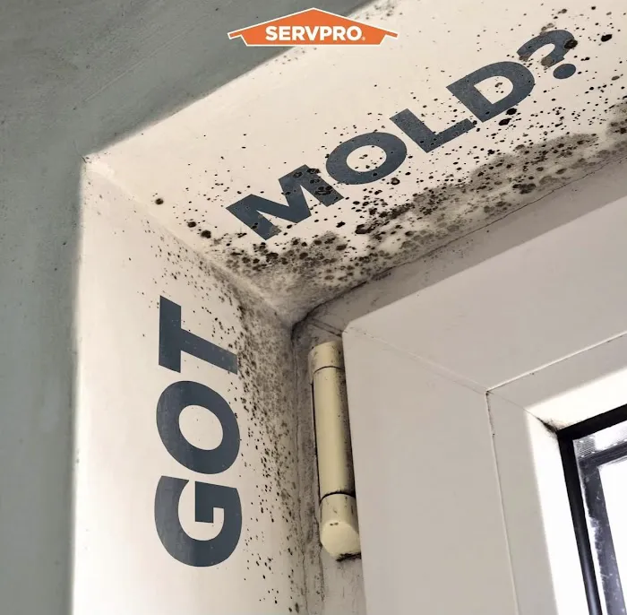 SERVPRO of Clinton & Gratiot Counties | MERGED Picture 5