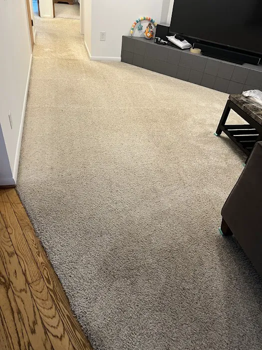 ACE Cleaning & Restoration Picture 1