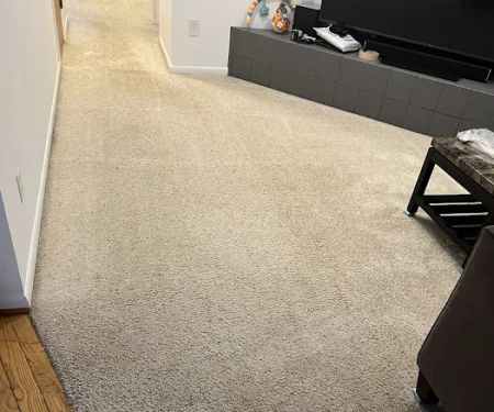 ACE Cleaning & Restoration