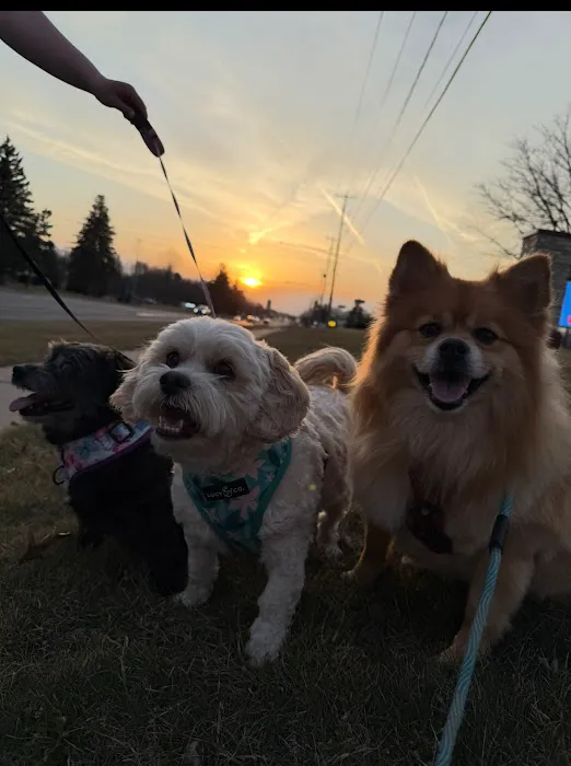 Your Home Solution Experts Picture 9