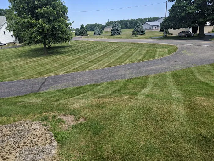 B-Dry System of Central & West Michigan, Inc. Picture 3