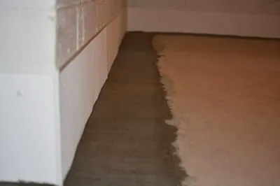 B-Dry System of Central & West Michigan, Inc. Picture 1