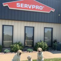 SERVPRO of Southwest Waukesha County and Jefferson County/Oconomowoc ico