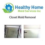 Healthy Home Mold