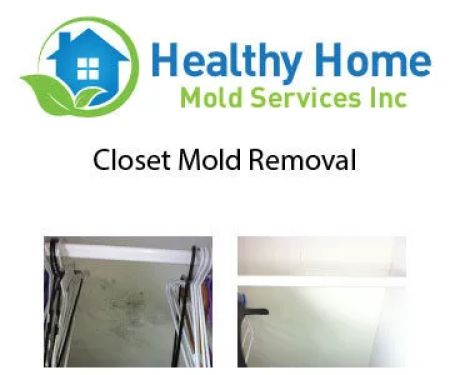 Healthy Home Mold
