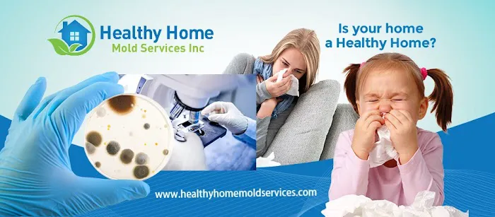 Healthy Home Mold Picture 6