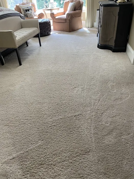 Hi Tek Professional Carpet Care Picture 6