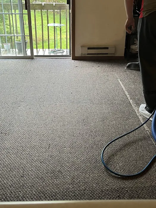 Hi Tek Professional Carpet Care Picture 2