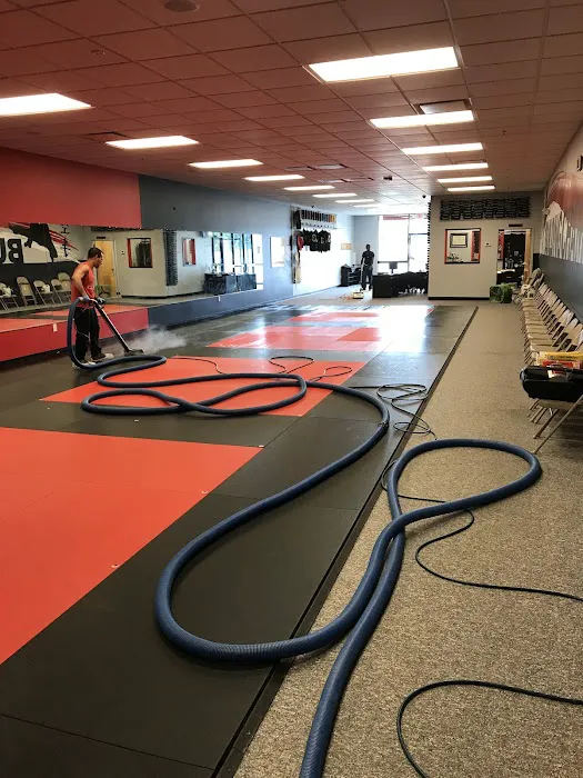 Hi Tek Professional Carpet Care Picture 3