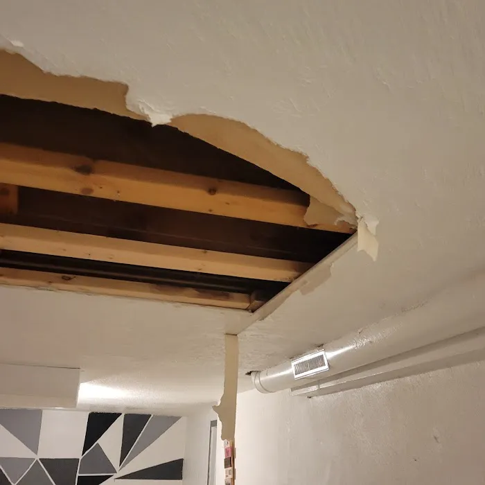 Flood Pros Disaster Restoration Services Picture 2