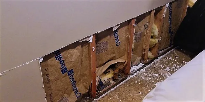 Jiayou Water repairs Picture 1