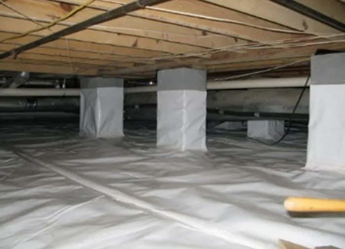 AuntieGen | Mold Removal in Milwaukee Picture 5