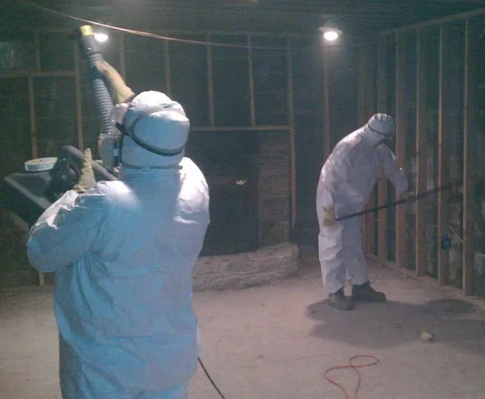 AuntieGen | Mold Removal in Milwaukee Picture 2