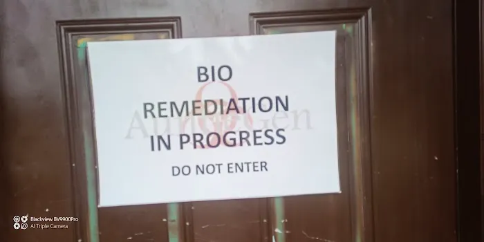 AuntieGen | Mold Removal in Milwaukee Picture 1