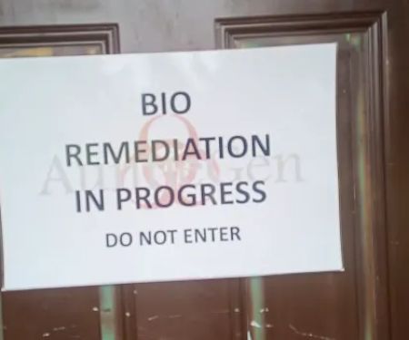 AuntieGen | Mold Removal in Milwaukee