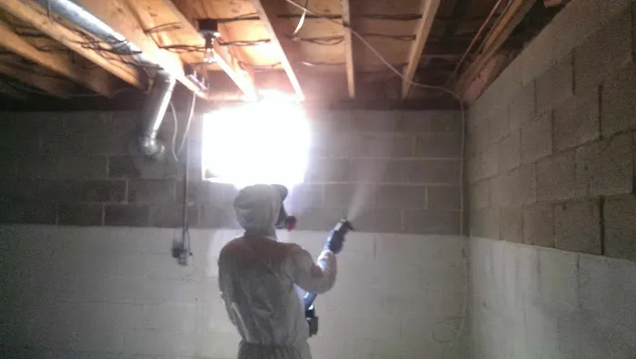 AuntieGen | Mold Removal in Milwaukee Picture 3