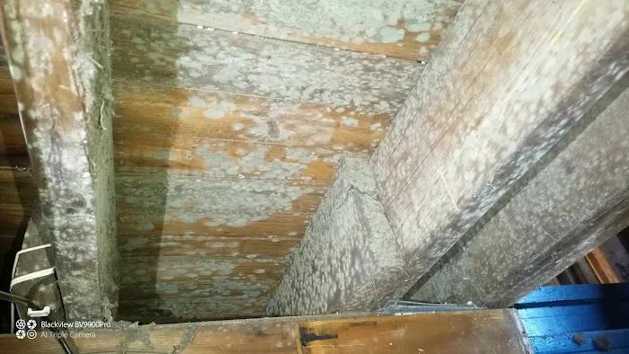 AuntieGen | Mold Removal in Milwaukee Picture 6