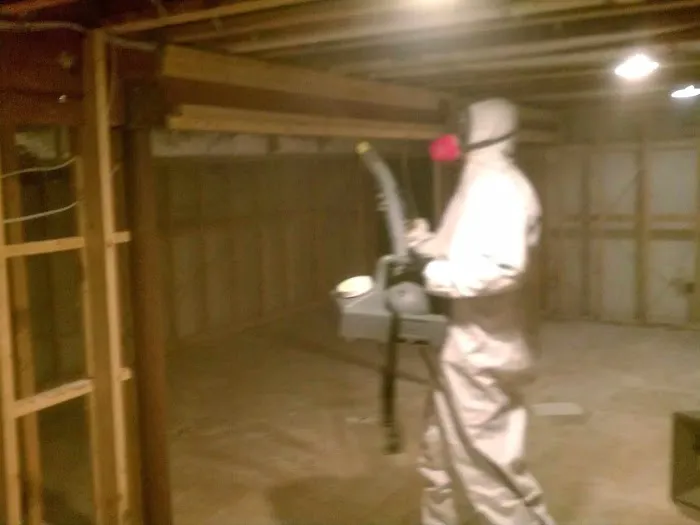 AuntieGen | Mold Removal in Milwaukee Picture 4