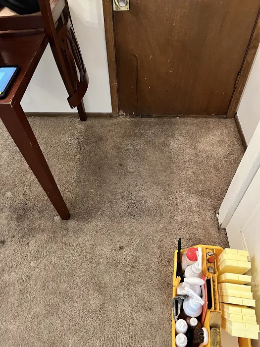 Stanley Steemer Picture 5