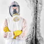 Industrial Park Mold Solutions