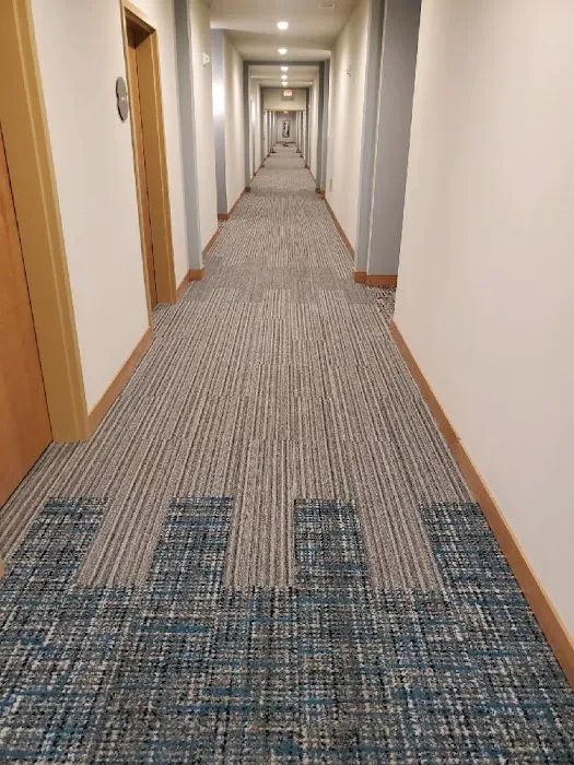 STEAMDRY Carpet Cleaning and Flood Restoration Milwaukee, WI Picture 3