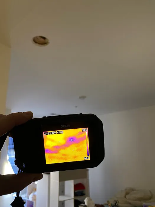 STEAMDRY Carpet Cleaning and Flood Restoration Milwaukee, WI Picture 5