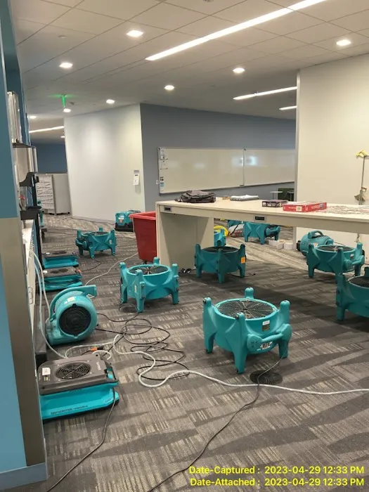 ServiceMaster Recovery Services Picture 6