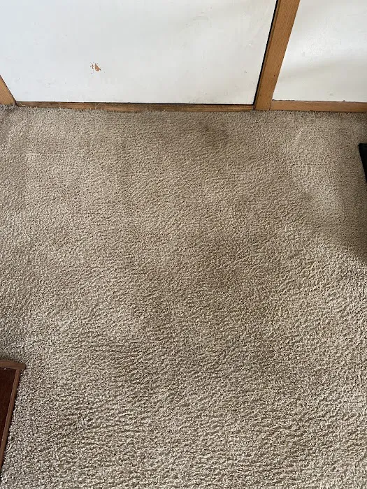 Platinum Services,LLC Picture 2