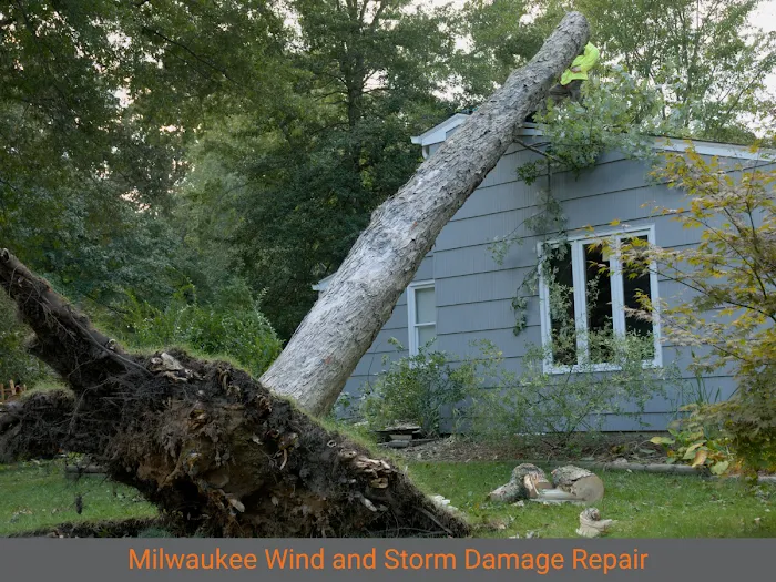 Kelmann Restoration Picture 6