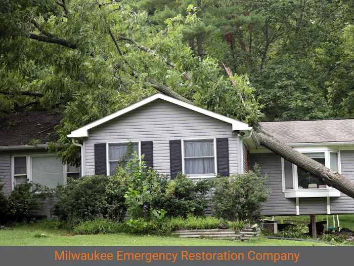 Kelmann Restoration Picture 4