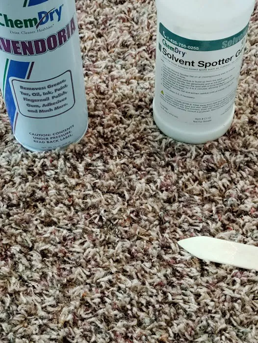 Noble Lagrange Chem-Dry Picture 2