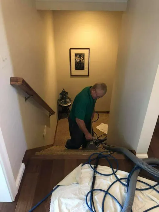 Noble Lagrange Chem-Dry Picture 5