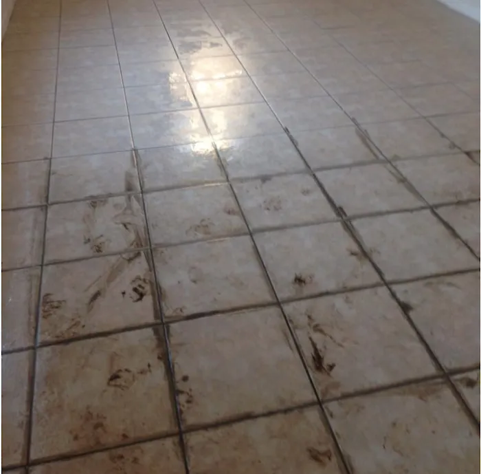 Noble Lagrange Chem-Dry Picture 8