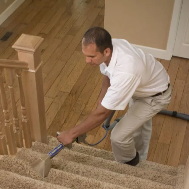 Noble Lagrange Chem-Dry Picture 3