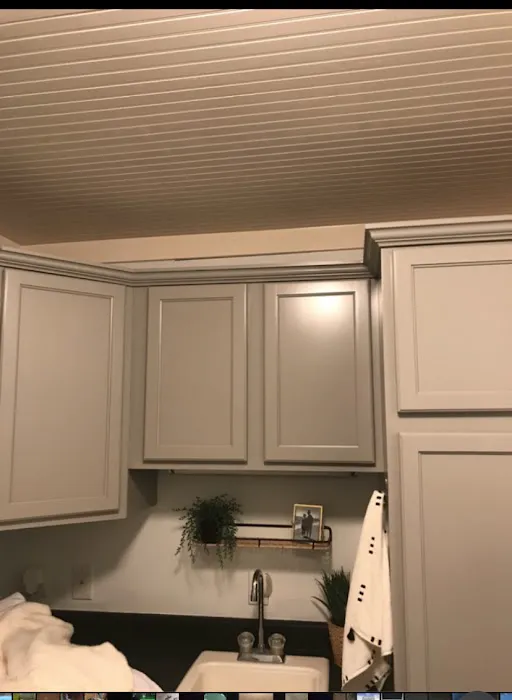 Sincler Painting Picture 5