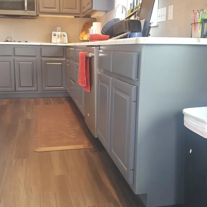 American Painting Specialist Picture 3