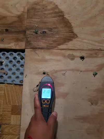 A2 Restoration Picture 3