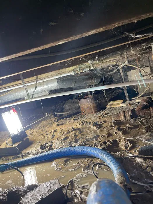 Ajaxx Restoration Picture 5