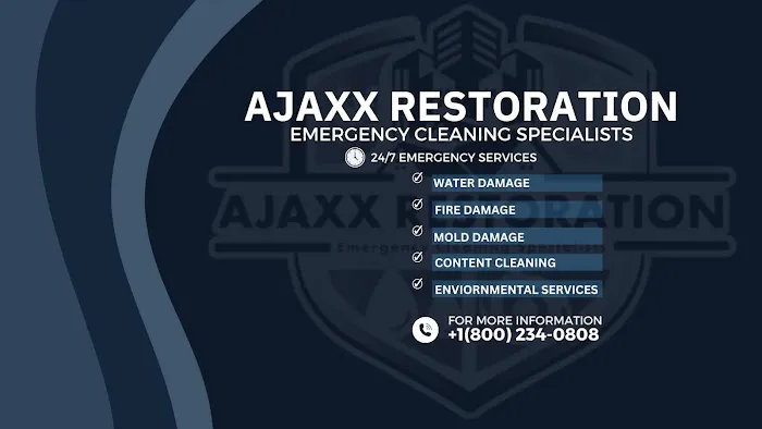 Ajaxx Restoration Picture 1