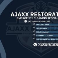 Ajaxx Restoration ico