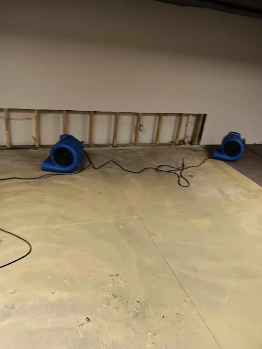 Ajaxx Restoration Picture 3