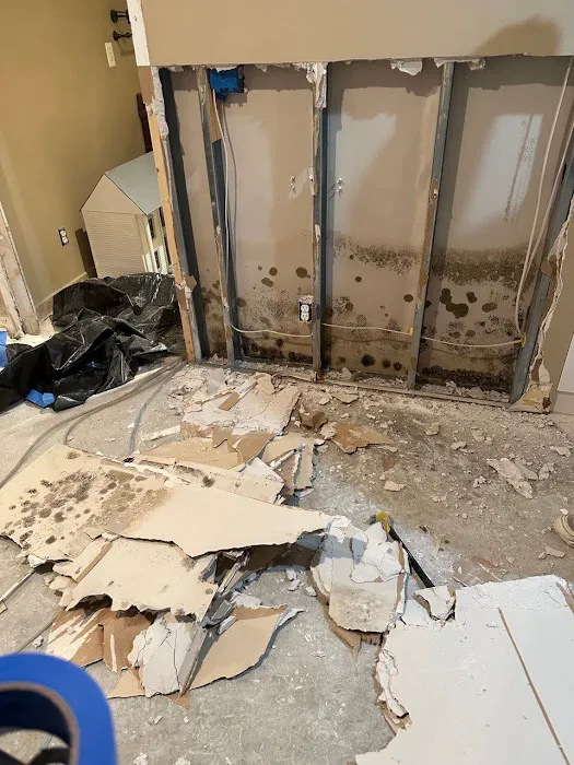 Ajaxx Restoration Picture 2