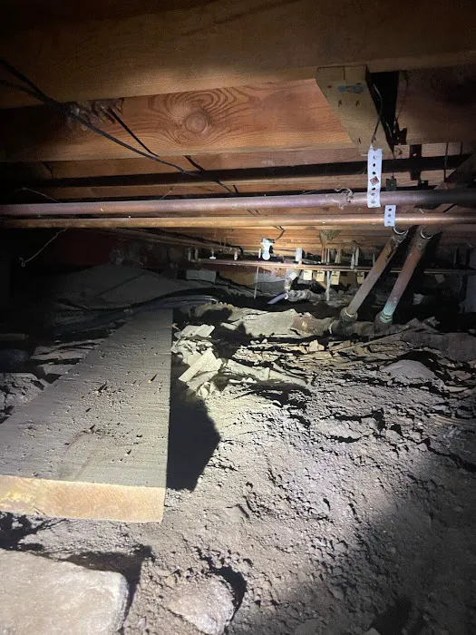 Ajaxx Restoration Picture 4